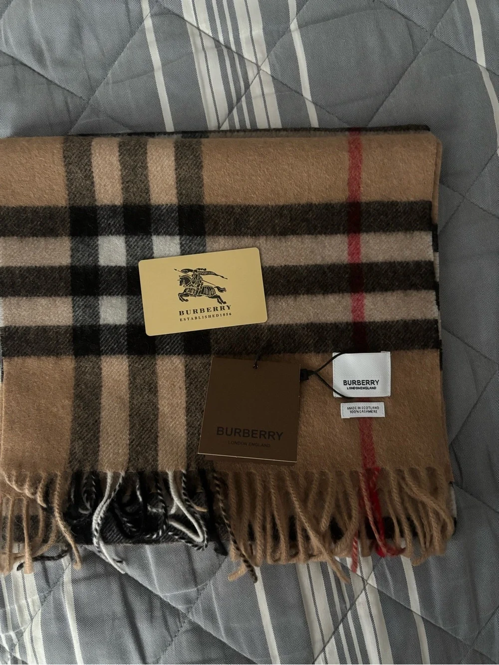 brand new burberry cashmere scarf